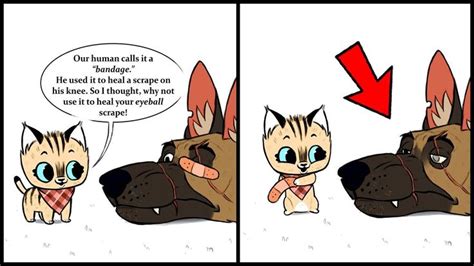 Pixie Bandages Brutus I Pixie & Brutus (Adorable Animal Comics) | Cute ...