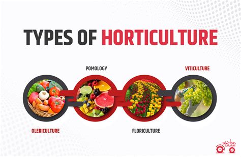 Horticulture Farming in India - Benefits, Coast, Types & Scope