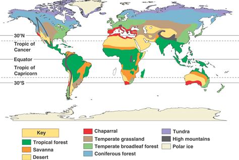 The Tundra Biome - Tundra