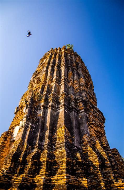 Wat Phra Mahathat Temple with Head Statue Trapped in Bodhi Tree in Phra ...