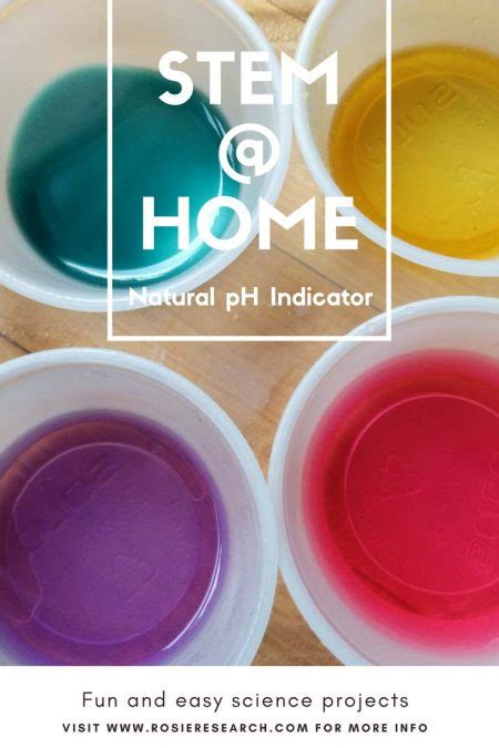 Natural pH Indicators: Make a pH indicator using beetroot or cabbage!