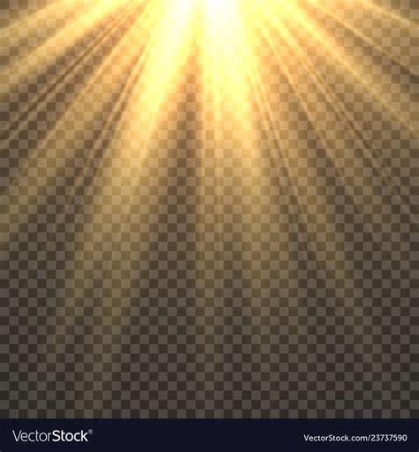 Sunlight isolated sun light effect golden sun Vector Image