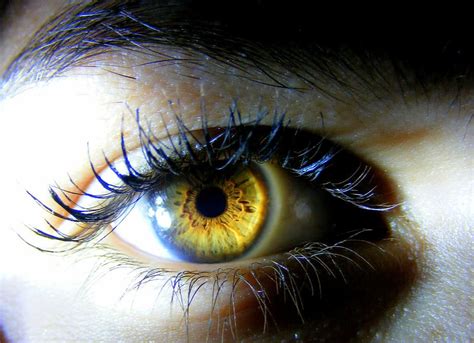 Yellow Eyes Human