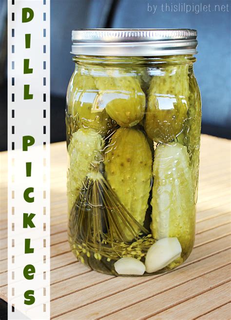 Garlic Dill Pickles Recipes Canning - This Lil Piglet