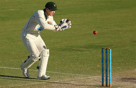 Australian wicket keeper Tim Paine’s rise this Ashes series - Bad Apple ...