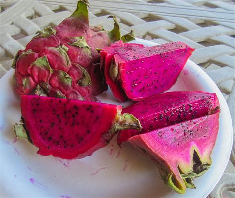 Cannundrums: Red Dragon Fruit