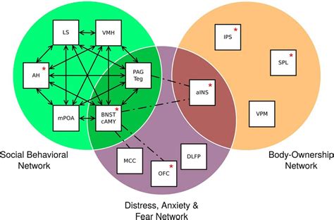 A New Theory of Gender Dysphoria Incorporating the Distress, Social ...