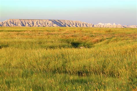 Characteristics of Grassland Biomes | Sciencing