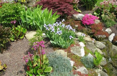 22 Rockery Garden Ideas to Create One at Your Place - 22 Rockery Garden ...