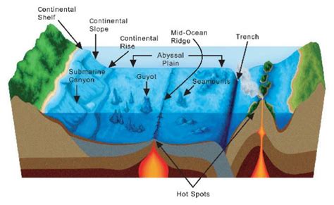 Trench Definition Earth Science - The Earth Images Revimage.Org