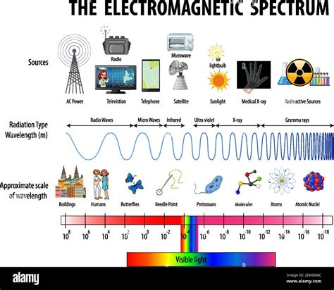 Science Electromagnetic Spectrum diagram illustration Stock Vector ...