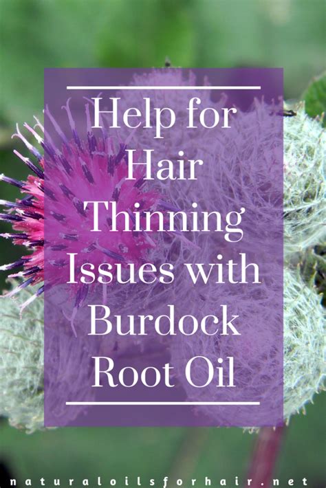 Reverse Hair Thinning with Burdock Root Oil | Natural Oils for Hair ...