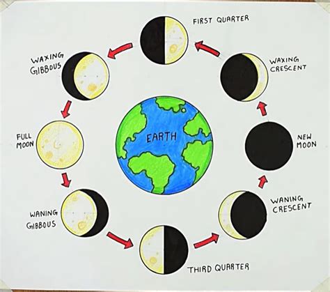 A Guide to Understand Moon Phases with Diagram | EdrawMax Online