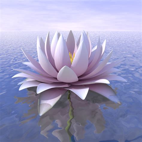 Lotus Animated 3D Model $99 - .c4d .fbx - Free3D