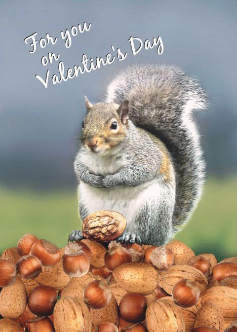 Happy Valentine’s Day to You, Cute Squirrel with Nut card #Ad , # ...