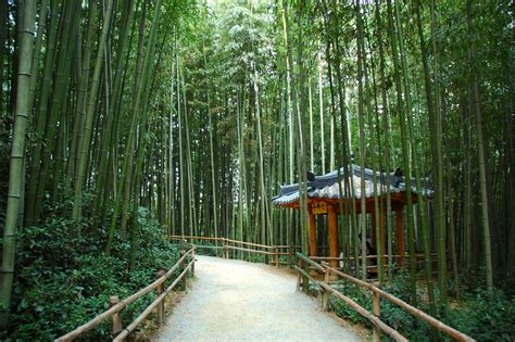 Juknokwon (Bamboo Garden) | This Is Korea Tours