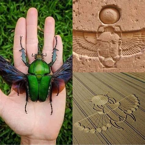 What does the scarab beetle symbolize in ancient Egypt? | Egypt ...