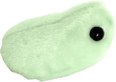 Flu (Orthomyxovirus) GIGANTIC Plush Doll