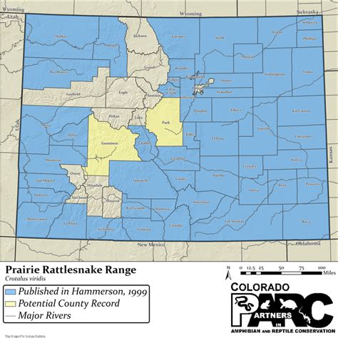 Prairie Rattlesnake - COPARC