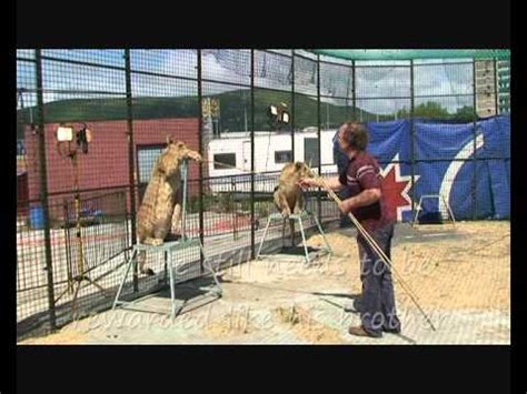 The truth behind circus animal training - YouTube