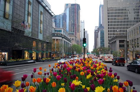 Magnificient Mile Shopping Chicago River, Downtown Chicago, Oak Street ...