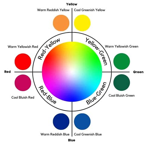 Warm and Cool Colors: What They Are, Examples, & More