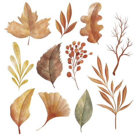 Watercolor Collection Of Autumn Leaves And Tree Branches, Autumn Leaves ...