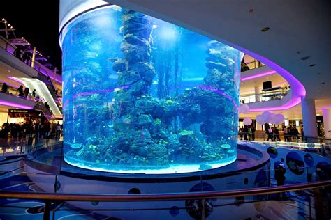 Aquadream – Morocco Mall Aquarium - Waterline Studios