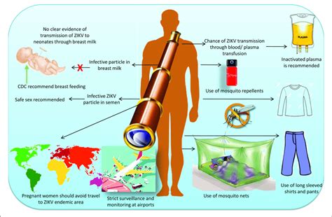 | Possible ways of Zika virus transmission, its prevention and control ...