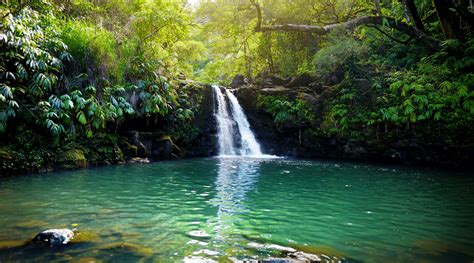 The Very Best Of Maui's Beautiful Waterfalls, Ranked