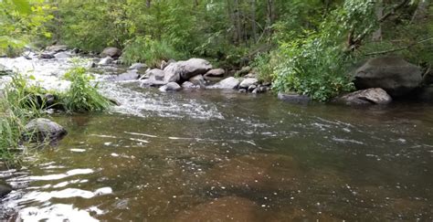 Fishing Oak Creek in Arizona – 365 Angler