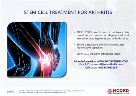 Stem Cell Treatment For Arthritis