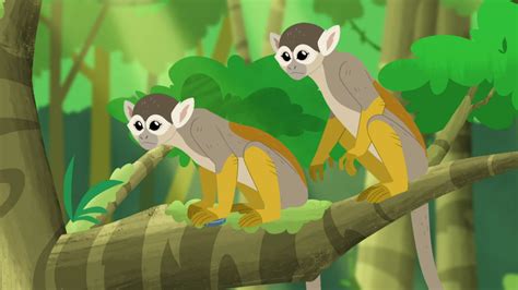 Humboldt's Squirrel Monkey | Wild Kratts Wiki | Fandom in 2021 ...