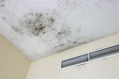 How To Tell If Your Air Conditioning Unit Has Mold