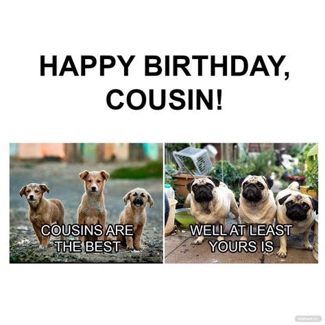 Happy Birthday Images For Cousin Funny - Infoupdate.org