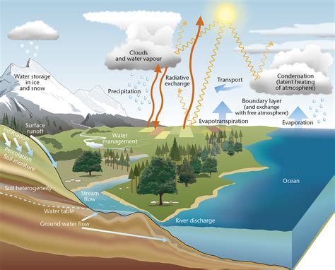 Sublimation Diagram Water Cycle