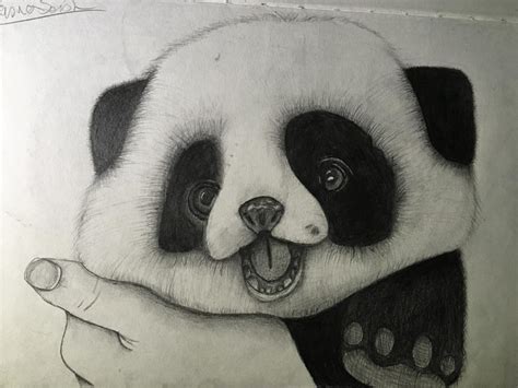 Panda Drawing, Pencil, Sketch, Colorful, Realistic Art Images | Drawing ...