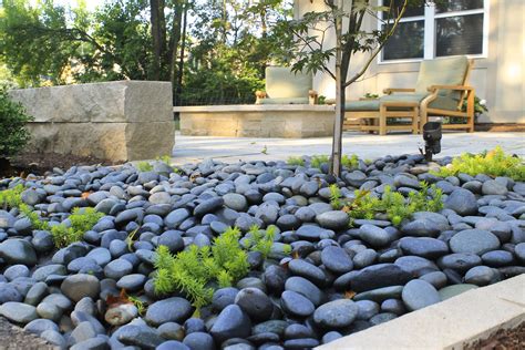 Modern Low-Water Garden: 5 Drought-Tolerant Landscaping Ideas – Abbot ...