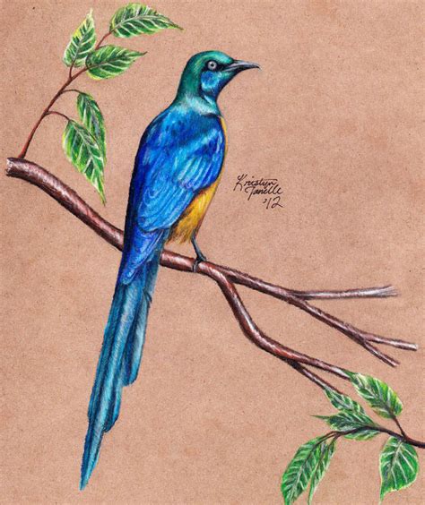 FREE 15+ Bird Drawings in AI and Artworks for Your Inspiration