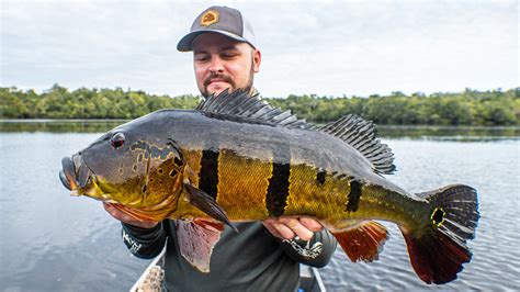 Amazon/Rio Negro: Fishing & Holiday on Hotel Ship