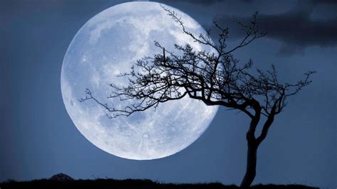 Cold moon night: Last, highest full moon of 2020 brights up skies ...