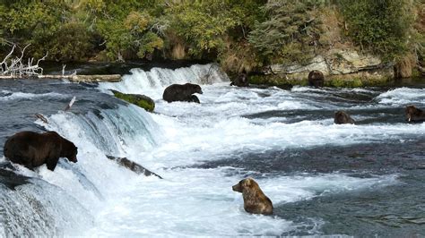 Brooks Falls NPS Photo/ N. | Free Photo - rawpixel