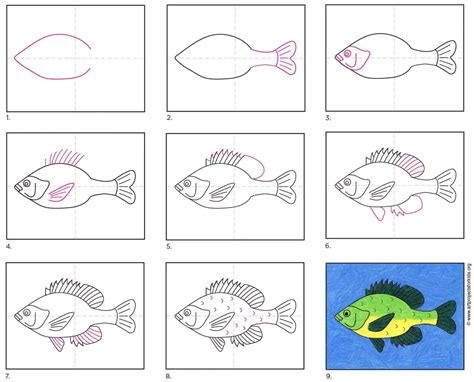 School Of Tropical Fish Drawing