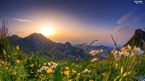 Spring Mountain Wallpapers - Top Free Spring Mountain Backgrounds ...