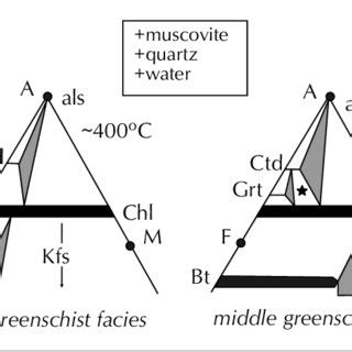 Stereogram of the crenulation lineation measurements. The lineations ...