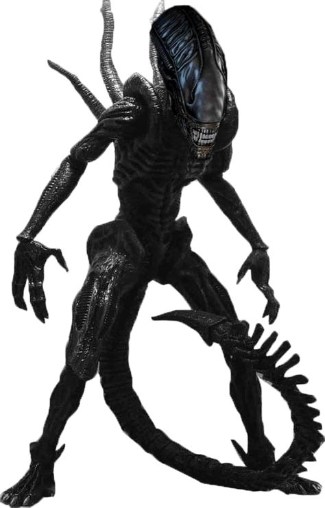 Xenomorph | Xenomorph, Alien vs predator, Alien art