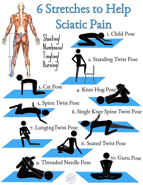 Sciatic Stretches | Sciatic pain, Back pain exercises, Sciatic nerve