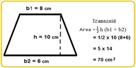 How to Calculate Area of a Trapezoid? - Assignment Point