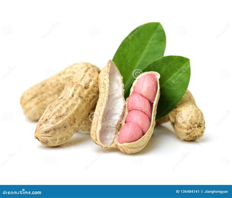 Peanut and leaves stock image. Image of shell, background - 136484141