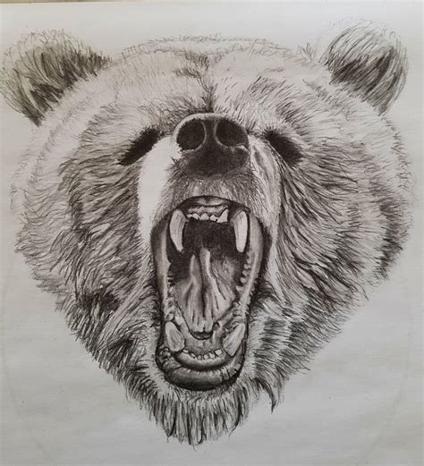 Scary Bear Drawing at PaintingValley.com | Explore collection of Scary ...